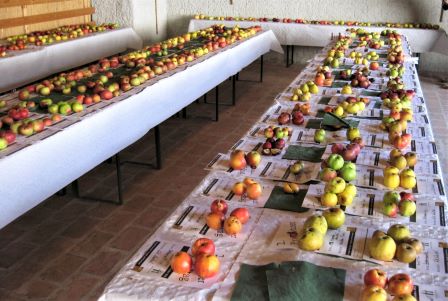 Rechte: Fam. Zwickl, Datum: 2012-11-11